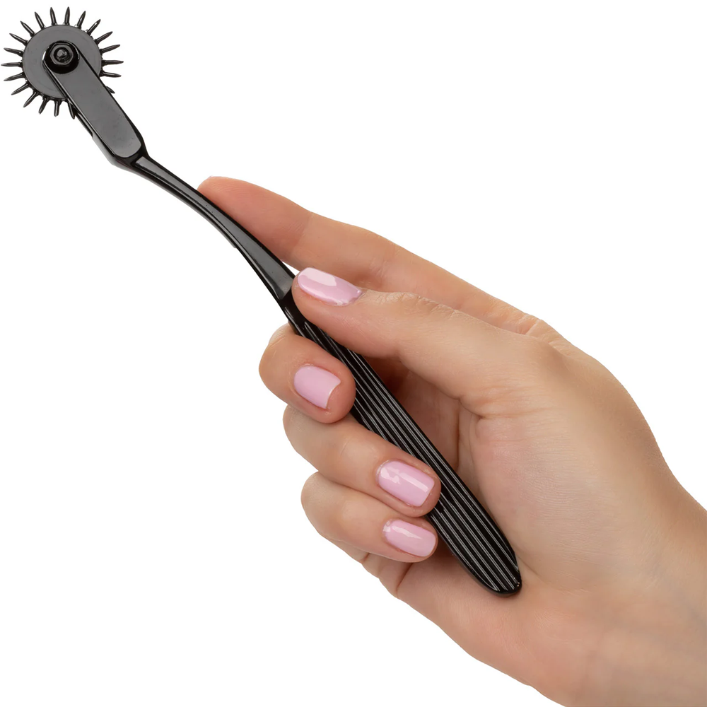 Boundless™ Pinwheel CalExotics
